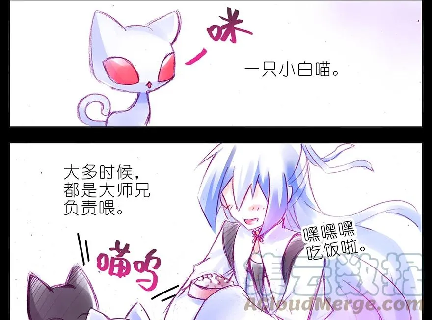 番外 番外：忽然养只猫 六2