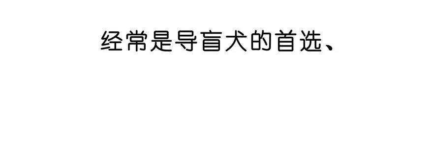 番外26 飞星喵七9