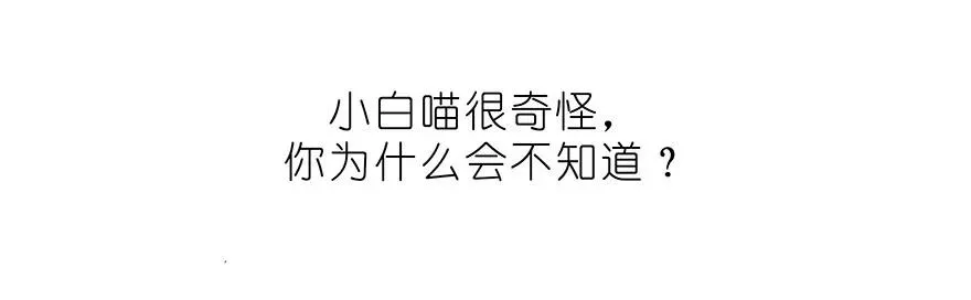 番外32 飞星喵十二5