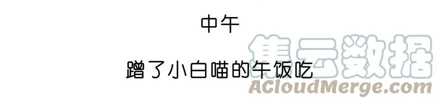 番外28 飞星喵九8