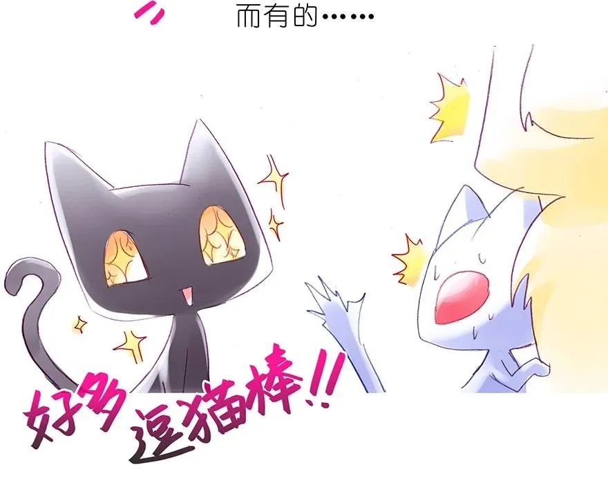 番外30 飞星喵十11