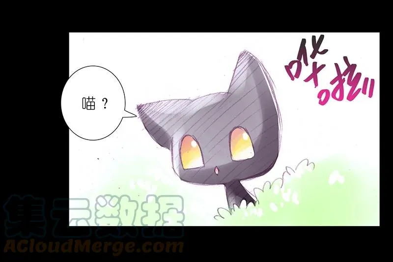 番外45 忽然想养猫坑37