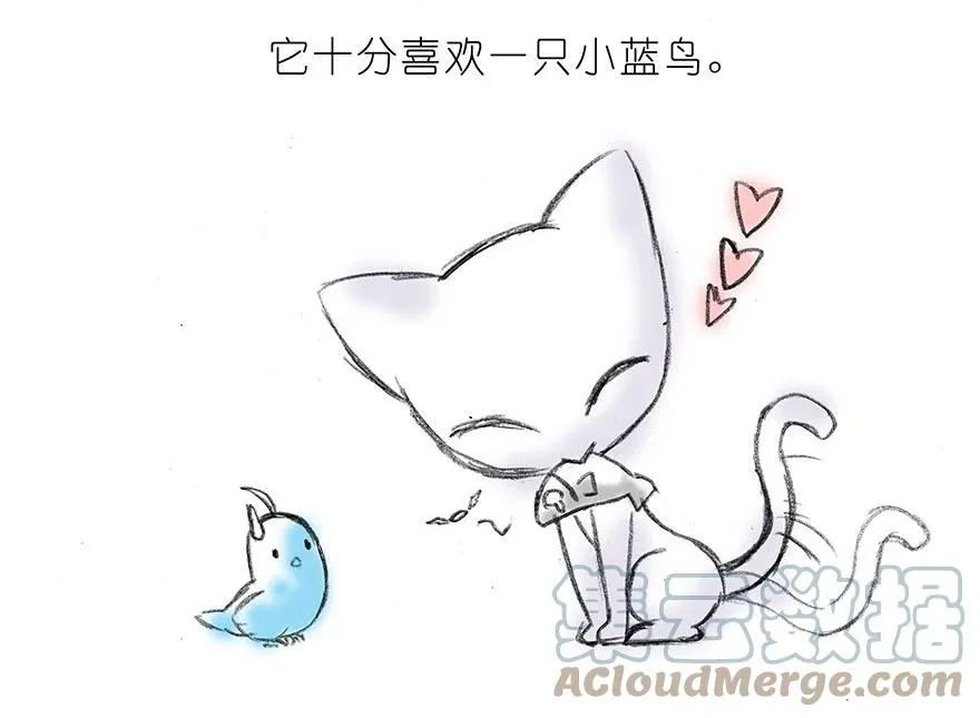 番外15 飞星喵二2