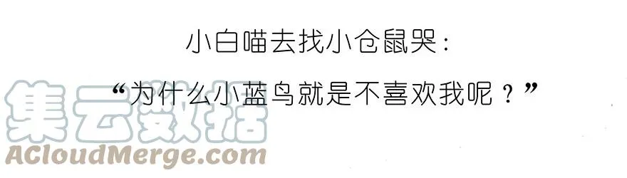 番外15 飞星喵二7
