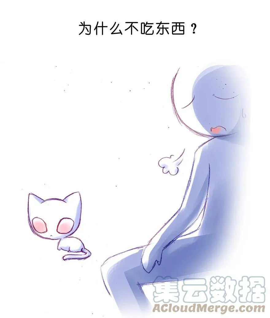 番外25 飞星喵六10