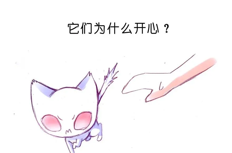 番外25 飞星喵六7