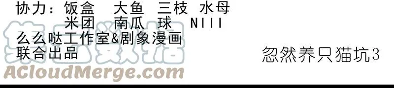 番外45 忽然想养猫坑31