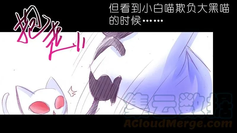 番外46 忽然想养猫坑410