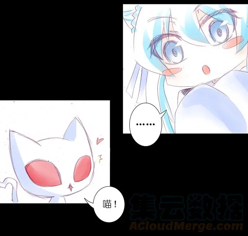 番外44 忽然想养猫坑28