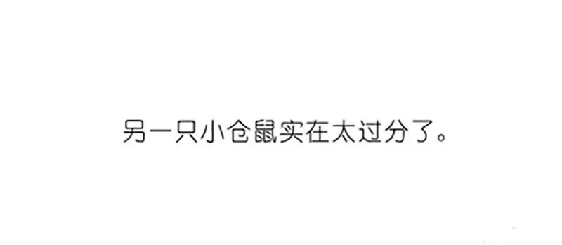 番外19 飞星喵四15