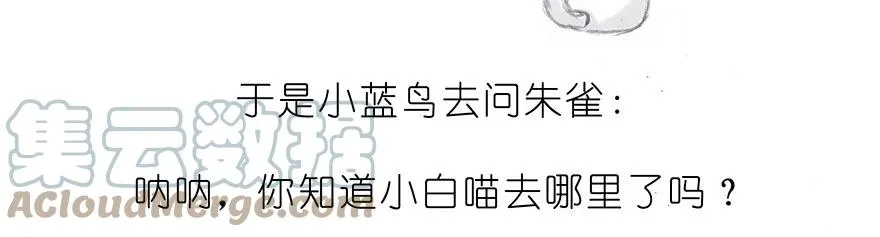 番外32 飞星喵十二16