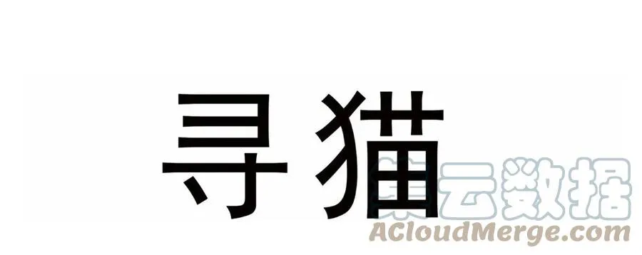请假条4