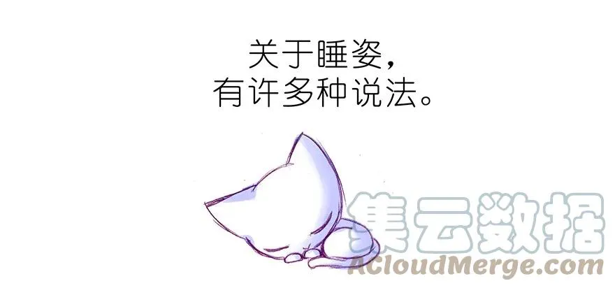 番外37 飞星喵十五2