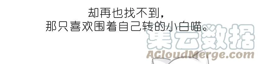 番外32 飞星喵十二14