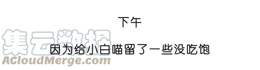 番外28 飞星喵九10