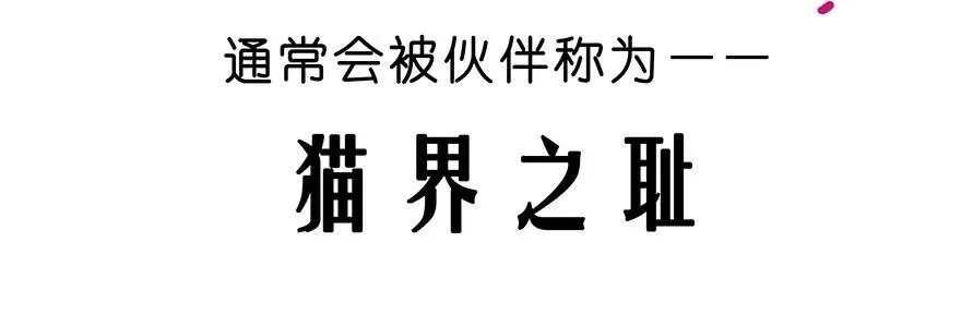 番外25 飞星喵六19