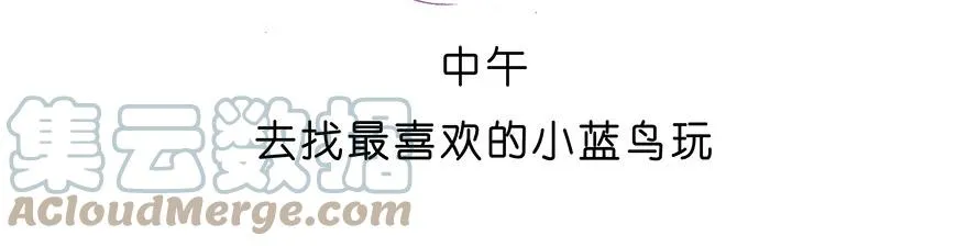 番外27 飞星喵八8