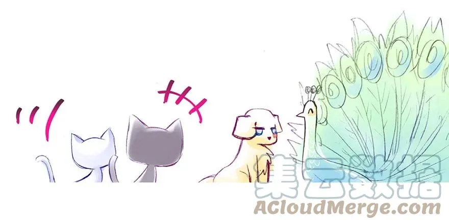 番外30 飞星喵十6
