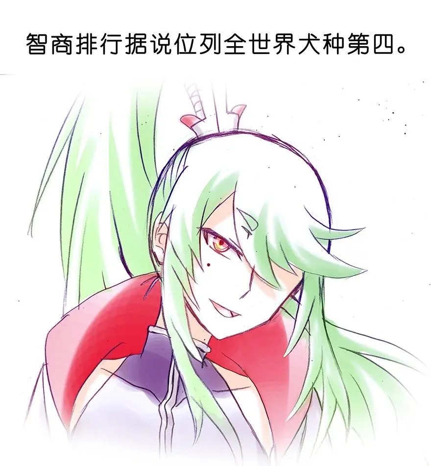 番外26 飞星喵七11