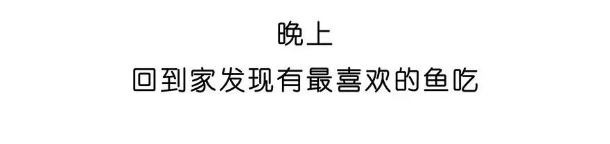 番外27 飞星喵八13