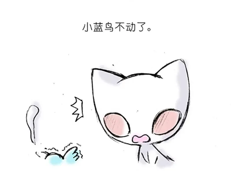 番外20 飞星喵五11