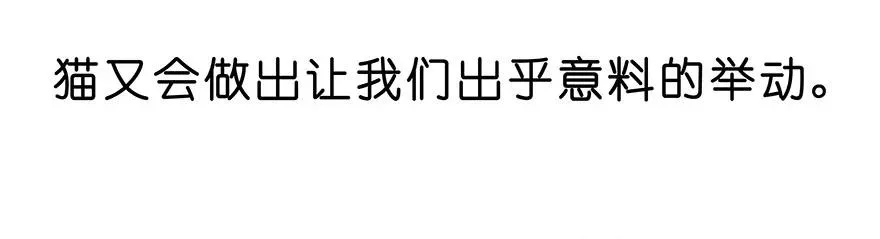 番外25 飞星喵六13