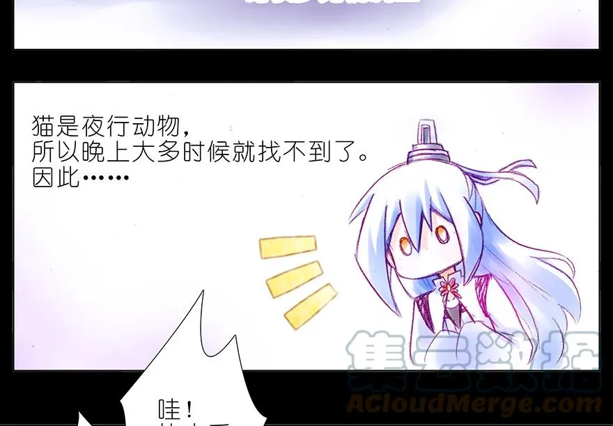 番外 番外：忽然养只猫 六7