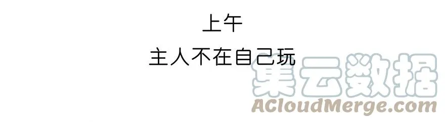 番外27 飞星喵八6