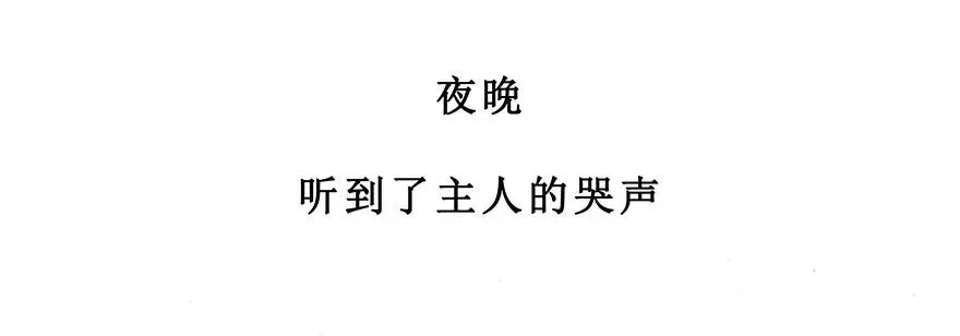 番外28 飞星喵九21