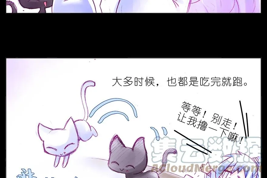 番外 番外：忽然养只猫 六3