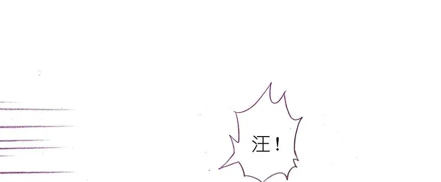 番外26 飞星喵七17