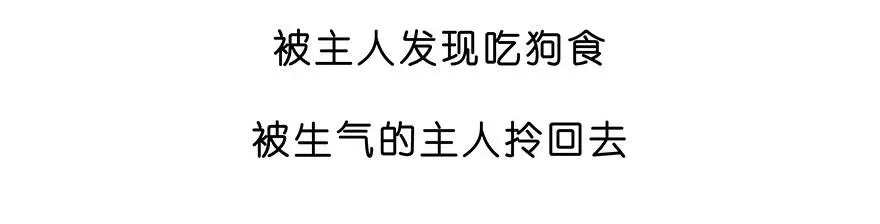 番外28 飞星喵九15