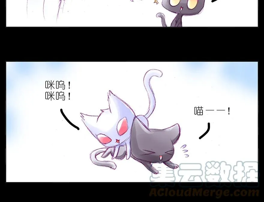 番外 忽然养只猫 八3