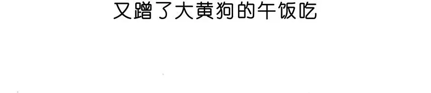 番外28 飞星喵九11