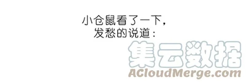 番外20 飞星喵五14