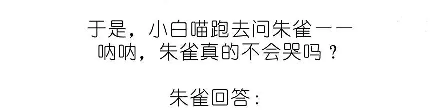 番外32 飞星喵十二3