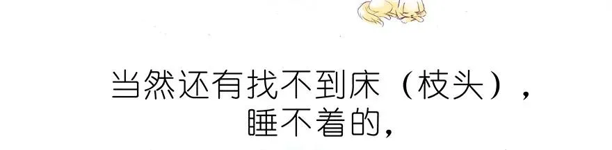 番外37 飞星喵十五11