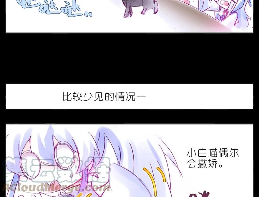 番外 番外：忽然养只猫 六4