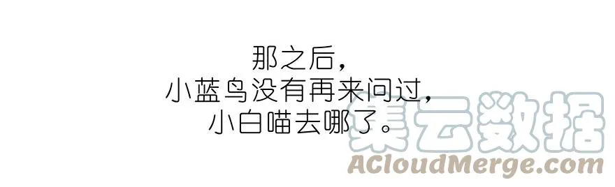 番外32 飞星喵十二22