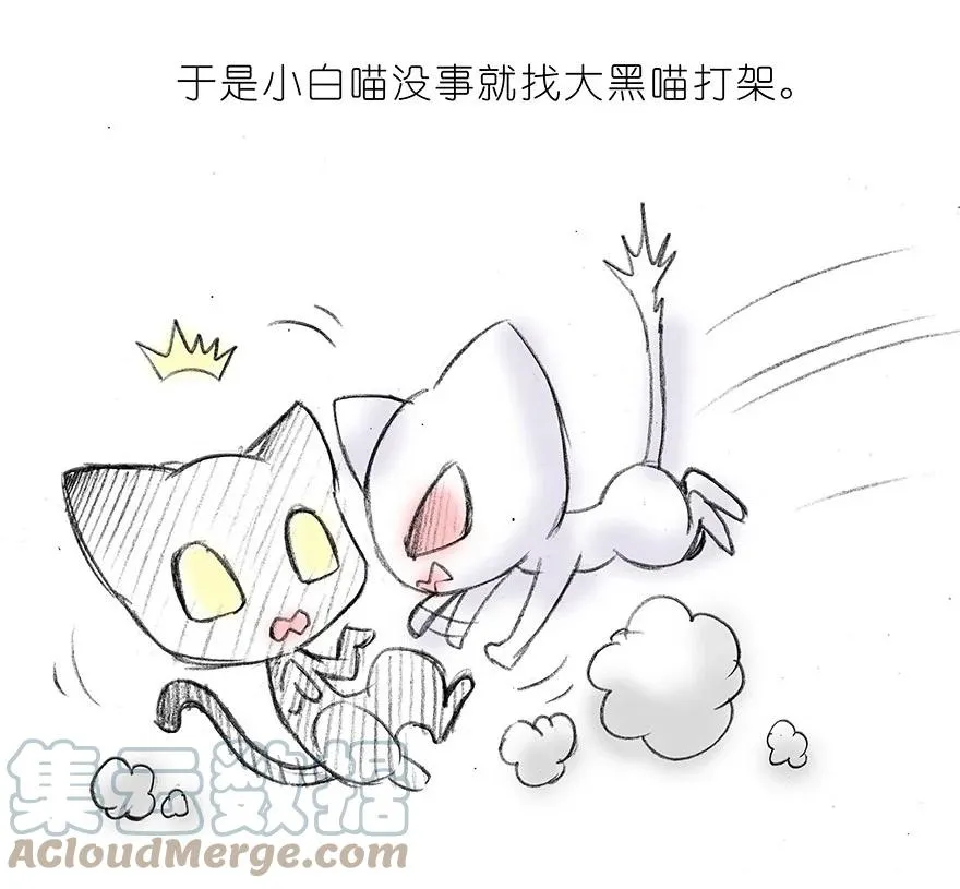番外15 飞星喵二4