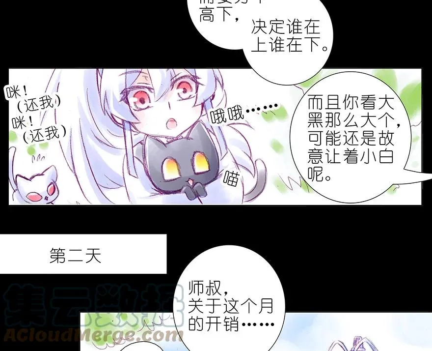 番外 忽然养只猫 八6