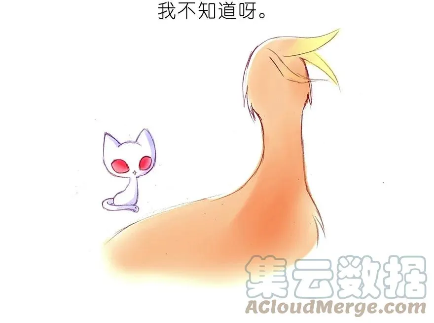 番外32 飞星喵十二4