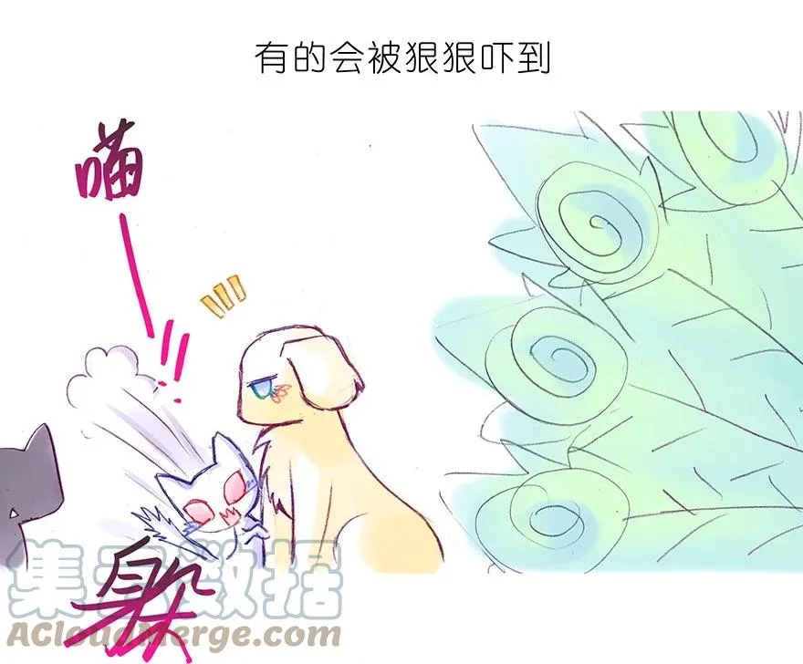 番外30 飞星喵十10