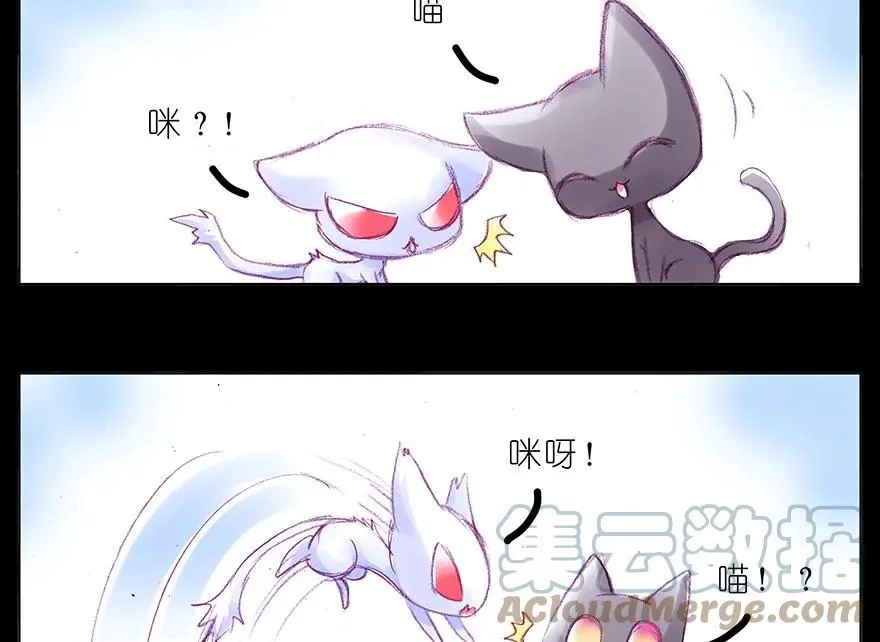 番外 忽然养只猫 八2