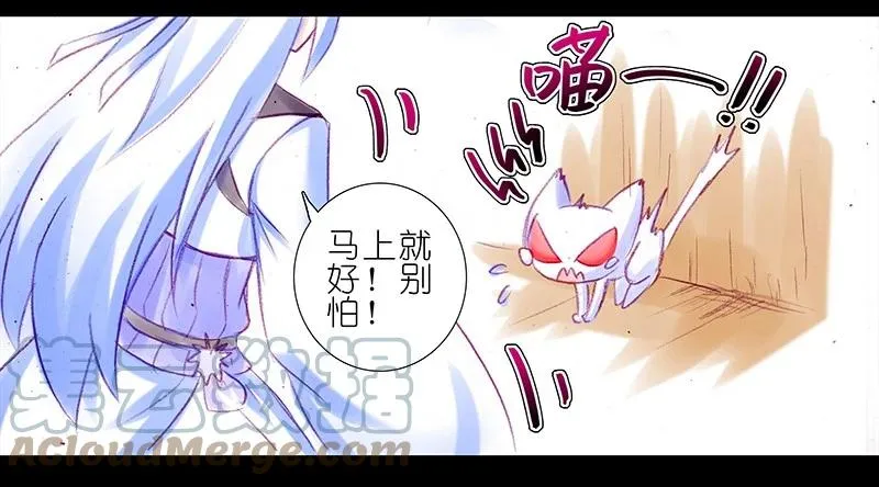 番外43 忽然想养猫坑14