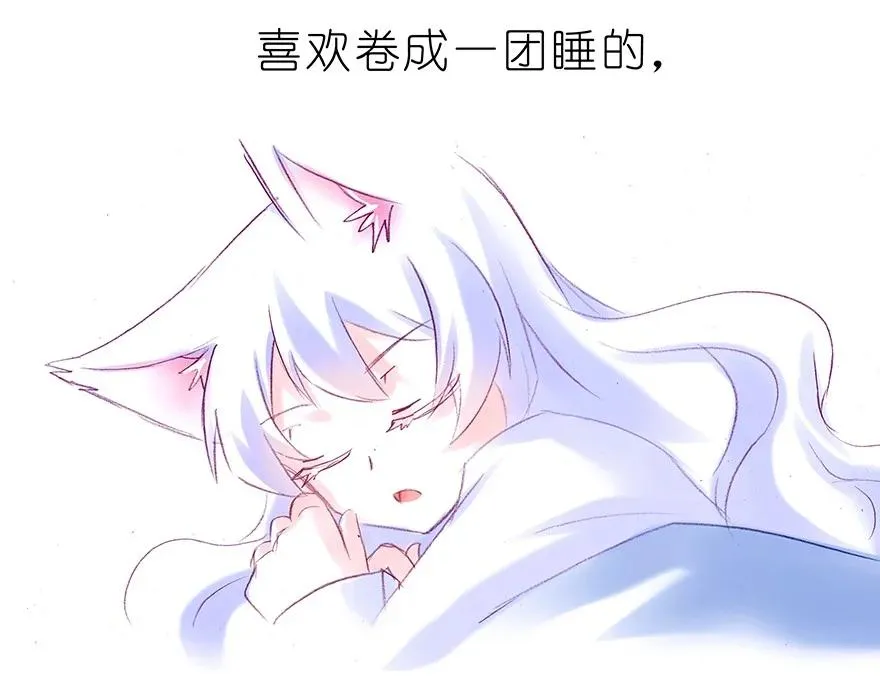 番外37 飞星喵十五3