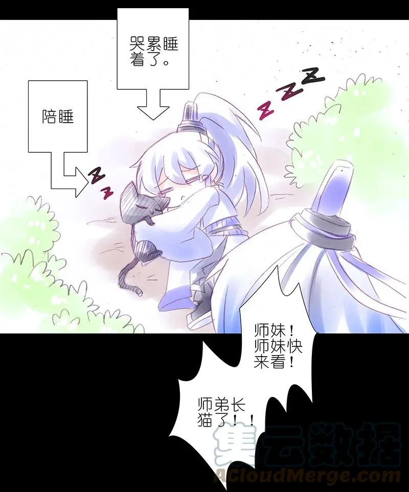 番外45 忽然想养猫坑312