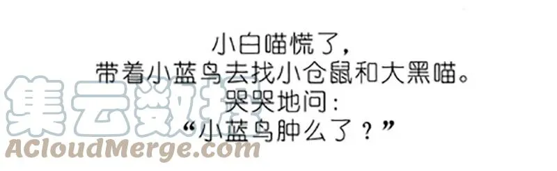 番外20 飞星喵五12