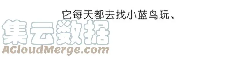 番外20 飞星喵五4