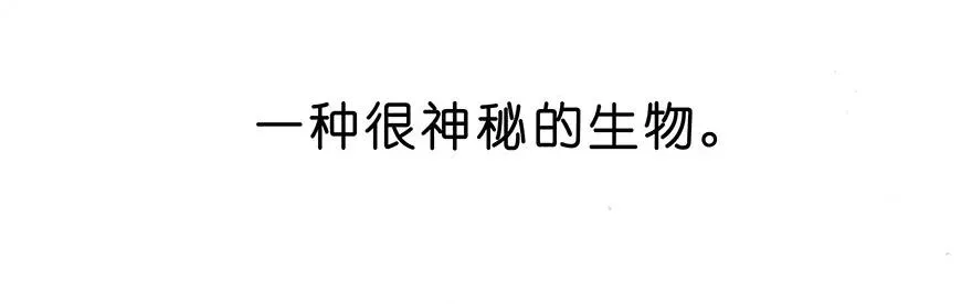 番外25 飞星喵六3
